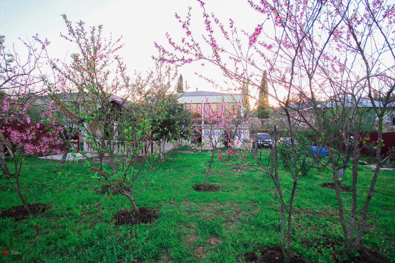 Green Garden Guest House Tskaltubo Bagian luar foto